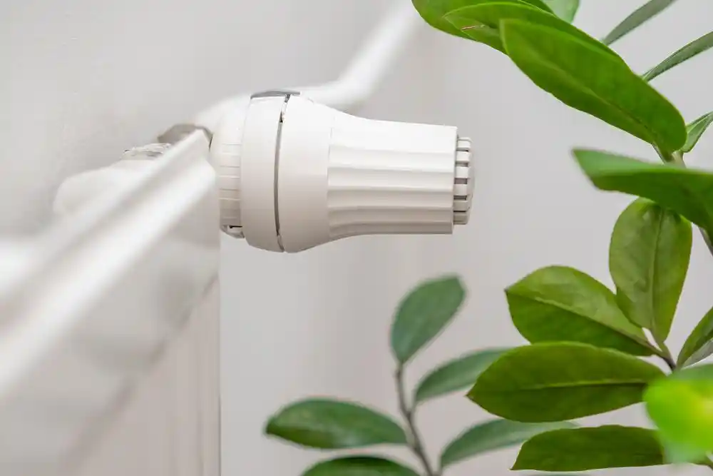 Beyaz bir radyatör termostatı, yeşil yapraklı bir bitkinin yanında görülüyor